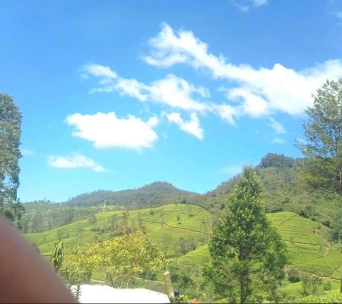 Nuwaraeliya Penthouse Apartment With Pool & Panaromic Views نوفارا إيلِيا المظهر الخارجي الصورة
